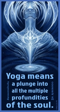 Yoga Means a Plunge.jpg